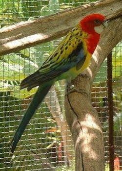 Baldwin's 3* Cozumel