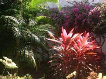 Baldwin's 3* Cozumel